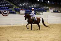 CLASS 154y TRAINERS EQ CLASS