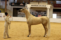 RJC35013