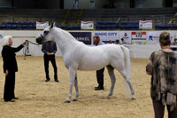 RJC38326