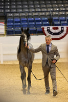 679 EC CYLVER QUEEN