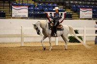 CLASS 1124 ARABIAN WESTERN PLEASURE LADIES & GENTS