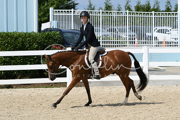 HSM_6446