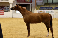 RJC30123