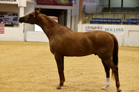 RJC30125