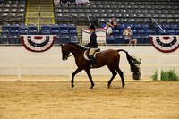 CLASS 1152 ARABIAN HUNTER PLEASURE LADIES & GENTS