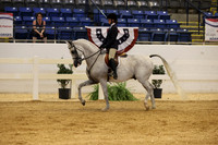 CLASS 1172 ARABIAN HUNTER PLEASURE JTR