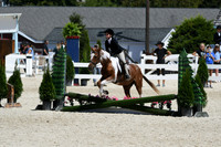 HSM_3106