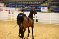 625 NORTHSTARS MR DOMANI