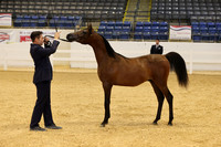 RJC30987