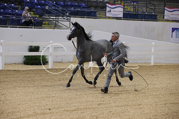 RJC30919