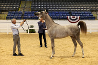 RJC31747