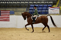 763 RGT JHEIRRY SPRINGER