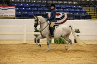 CLASS 1221 ARABIAN HUNTER PLEASURE ATR