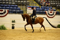 CLASS 1230 ARABIAN HUNTER PLEASIRE OPEN