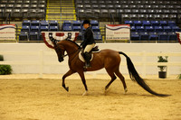 CLASS 1233 ARABIAN HUNTER PLEASURE SELECT ATR