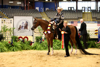 765 RGT DILLINGER