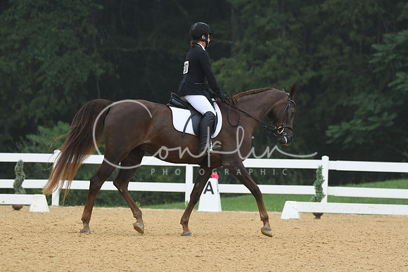 HSM_0995