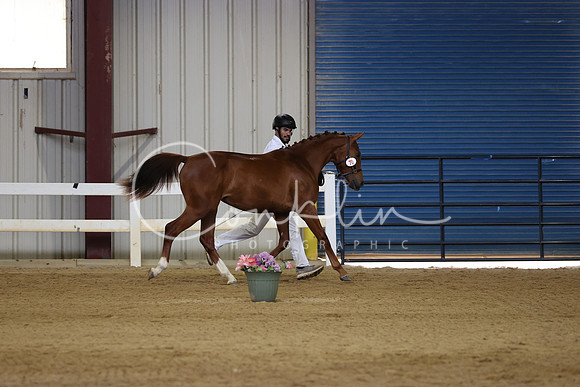 RJC32784