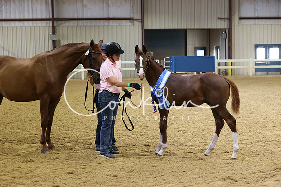 RJC32659