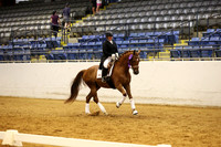 Dressage at Lexington Friday July 10,2026