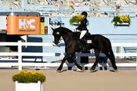 HSM_4297