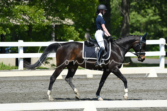 HSM_1353