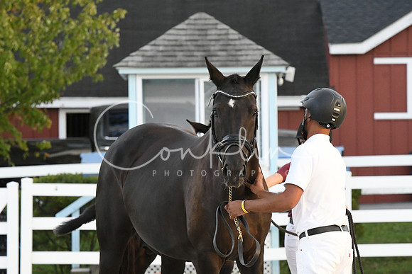 HSM_6310