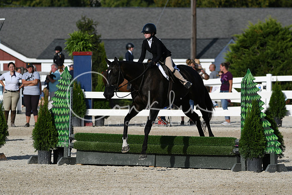 HSM_4342