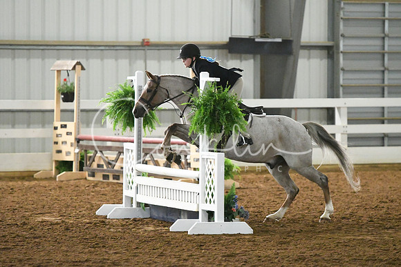 HSM_4617
