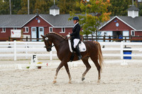 HSM_0529