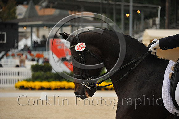 MBP_4798