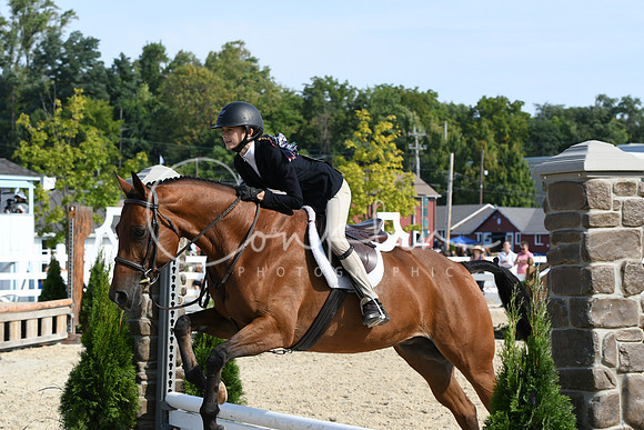 HSM_8199