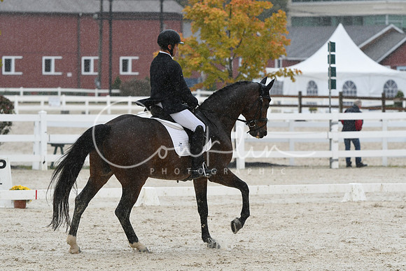 HSM_0497