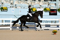 HSM_4288