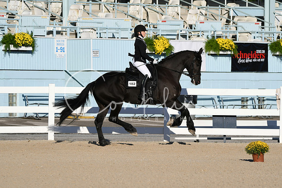 HSM_4288