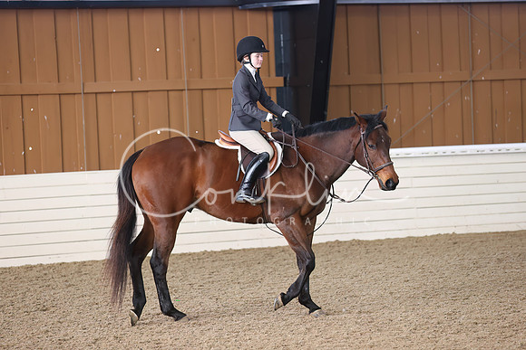 RJC32088-