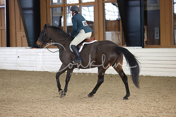 RJC31717-