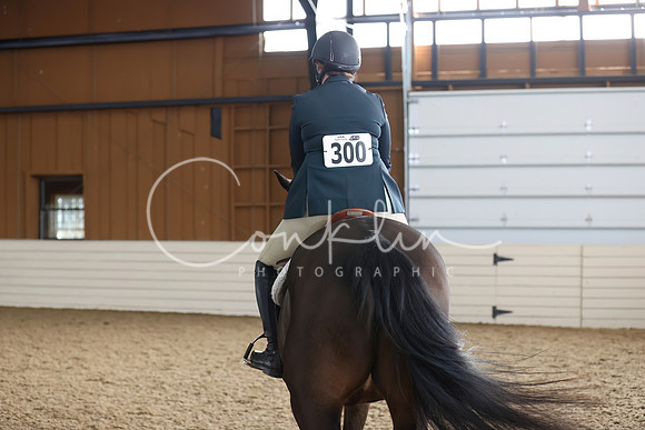 RJC31749-