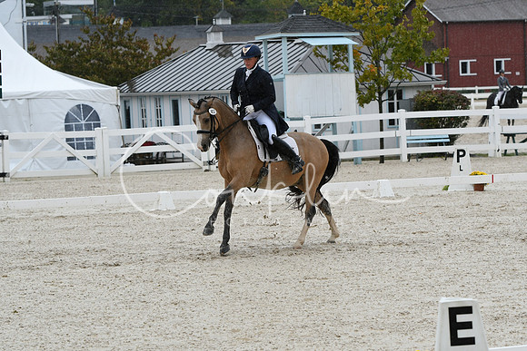 HSM_0273