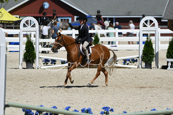 HSM_3178