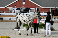 HSM_5485