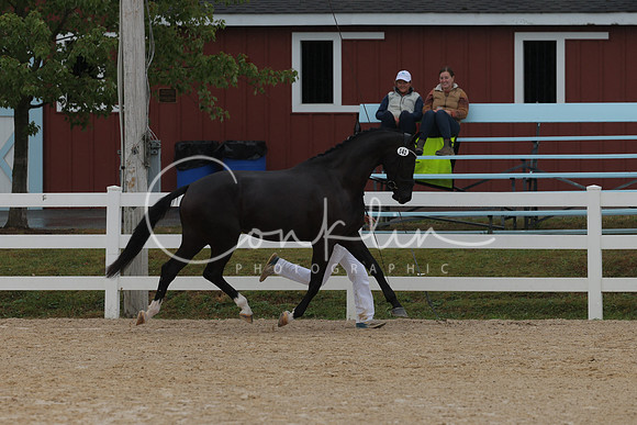 HLK_3672