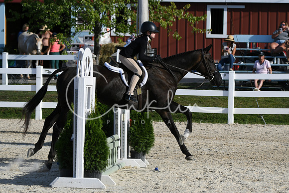 HSM_4308