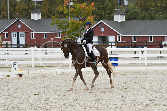 HSM_0574