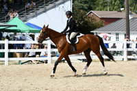 HSM_9299