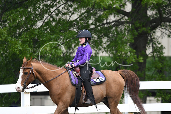 HSM_2343