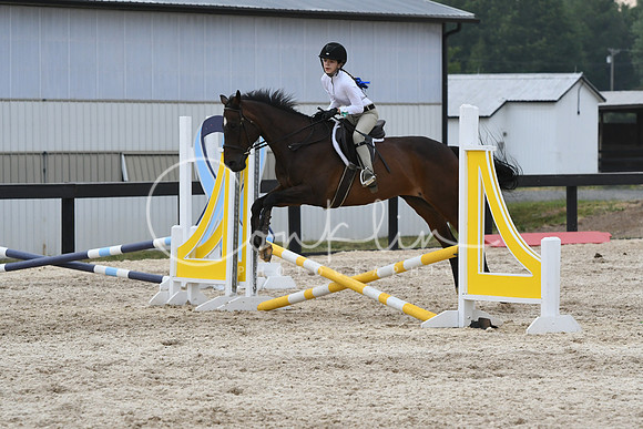 HSM_5946