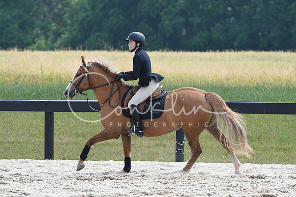 HSM_4533
