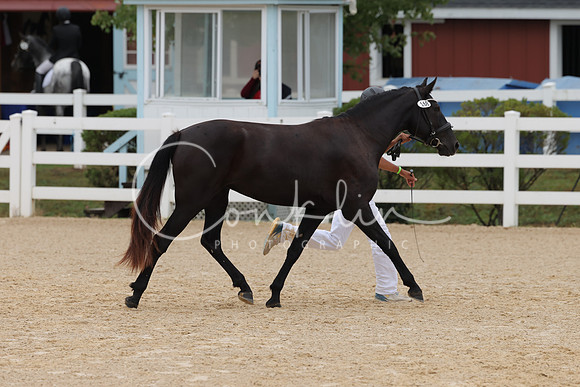 HLK_3567