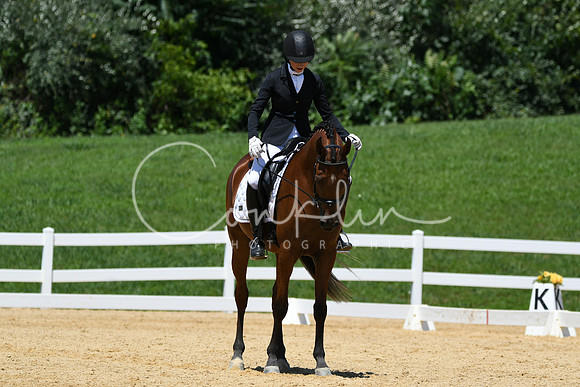 HSM_1501